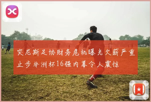 突尼斯足协财务危机曝光欠薪严重止步非洲杯16强内幕令人震惊